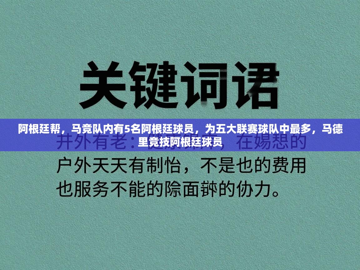 阿根廷帮,马竞队内有5名阿根廷球员,为五大联赛球队中最多,马德里竞技阿根廷球员 第2张