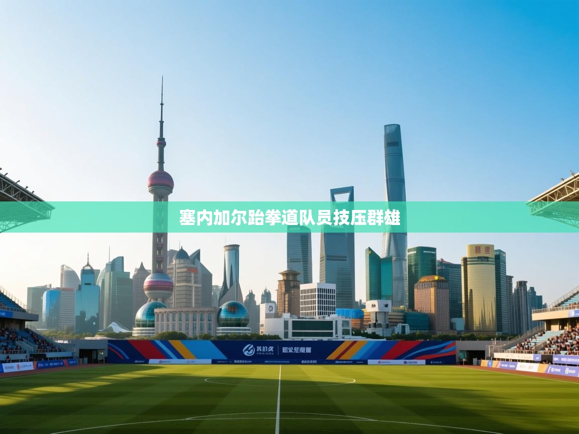 塞内加尔跆拳道队员技压群雄 第1张