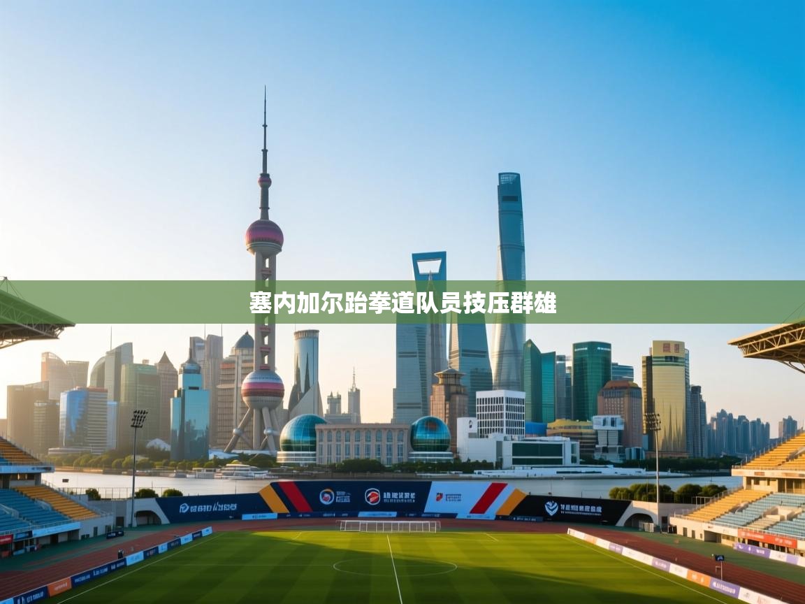 塞内加尔跆拳道队员技压群雄 第2张