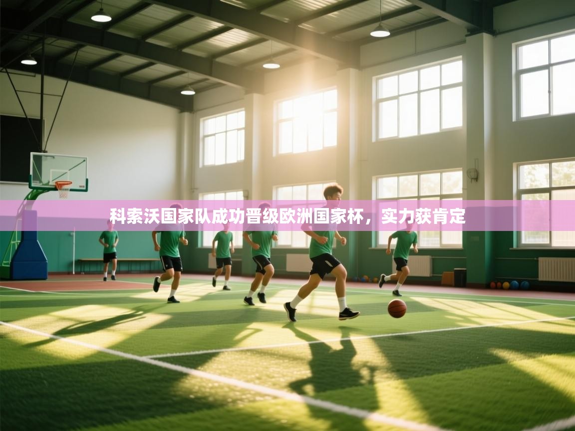 科索沃国家队成功晋级欧洲国家杯，实力获肯定  第1张