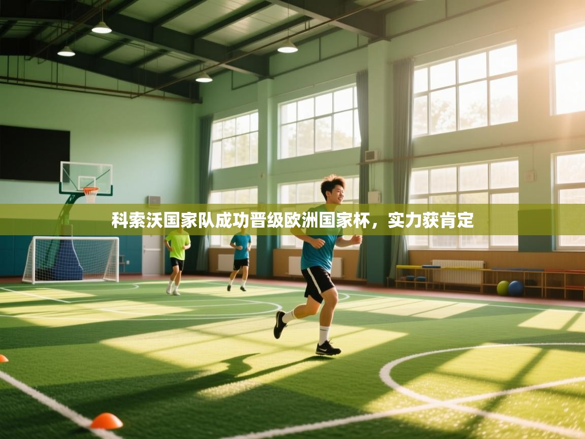 科索沃国家队成功晋级欧洲国家杯，实力获肯定  第2张